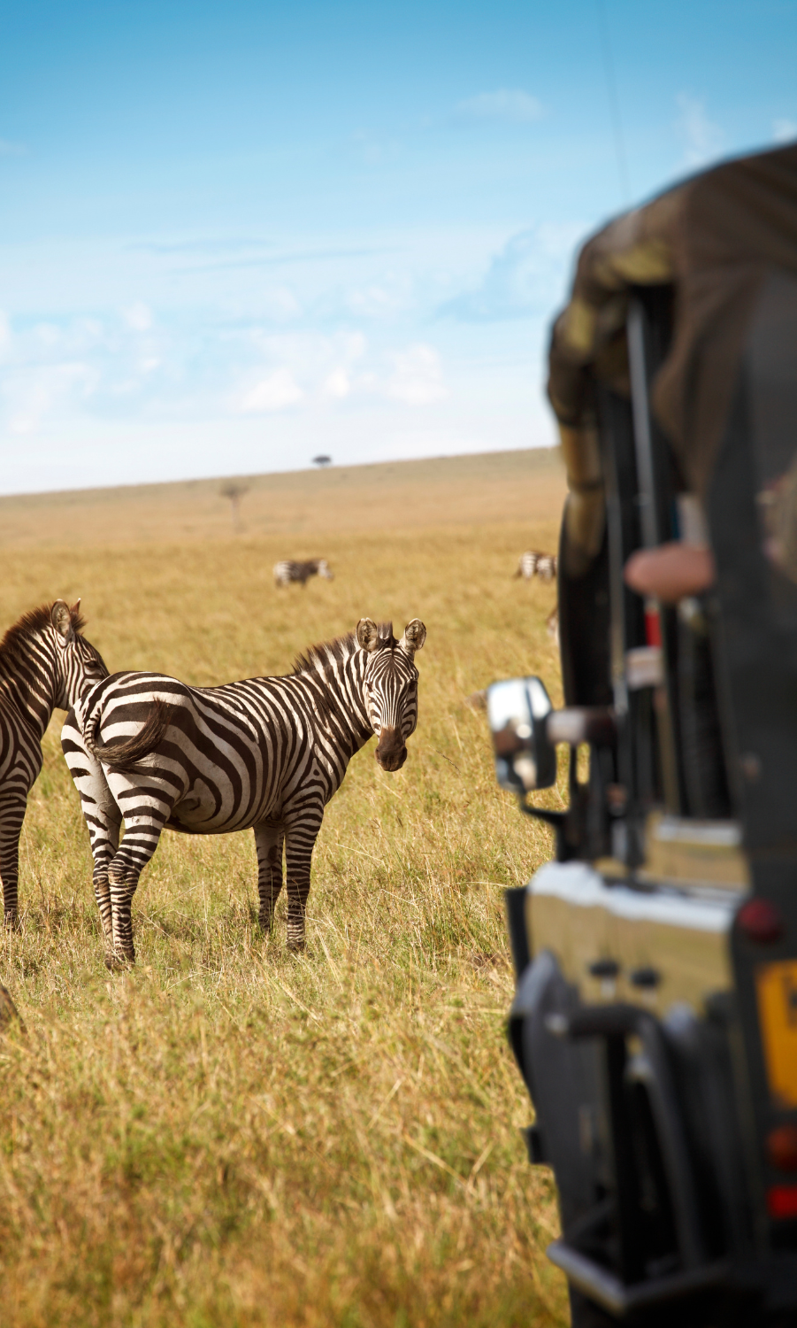 Luxury group tours in Oudtshoorn South Africa. Brought to you by Orbis Tourism Services