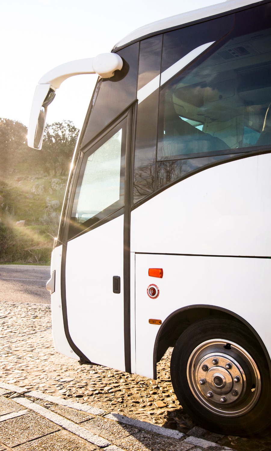 Private luxury tours in Oudtshoorn South Africa. Brought to you by Orbis Tourism Services